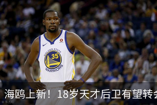 海鸥上新！18岁天才后卫有望转会英格兰，天赋顶级布莱顿要买